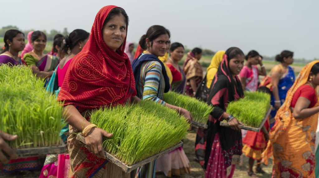 Global Perspective on Women in Agriculture