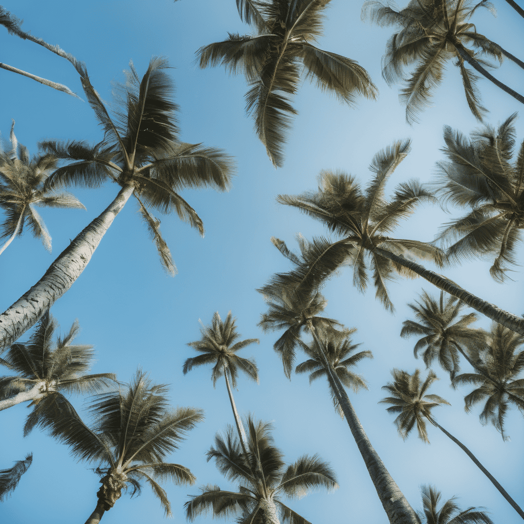 Fiji Weather Bulletin: Strong Southeast Winds Prompt Coastal Wind Alerts Across Fiji Islands and Rotuma