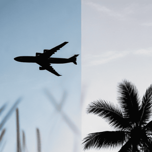 Illustration of Australia says remaining ‘Bali Nine’ members have returned from Indonesia