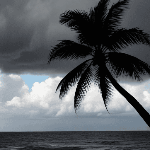 Illustration of Effects of TD01F on Fiji from midnight to late tomorrow