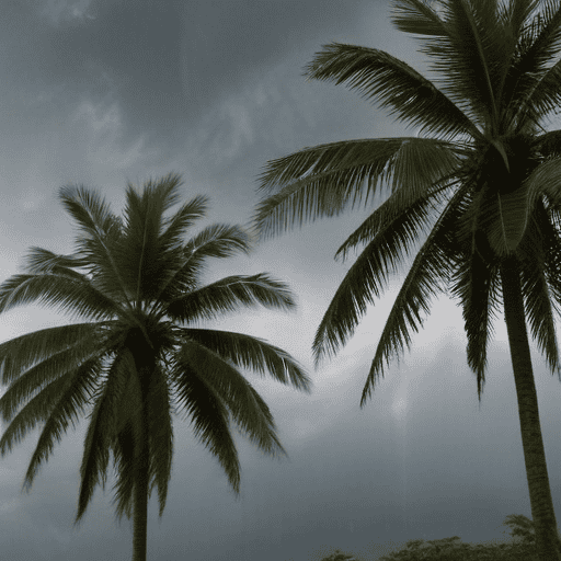 Illustration of Heavy Rain and Flood Warnings Issued Across Fiji as Active Weather System Persists
