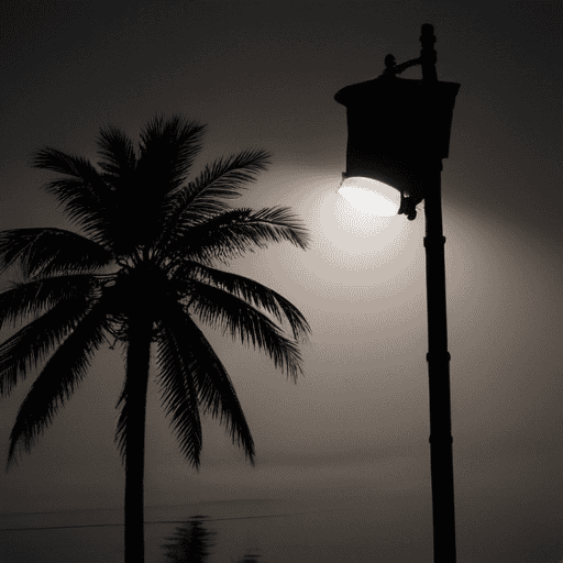 Illustration of Power disruption in parts of Suva