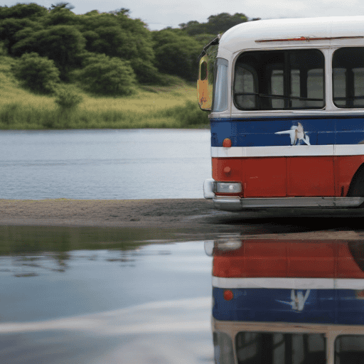 Illustration of Tudravu: Nothing will stop ‘one bus one river’