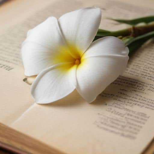 A Nation Mourns: Remembering Filimone Kau's Lasting Legacy in Fiji