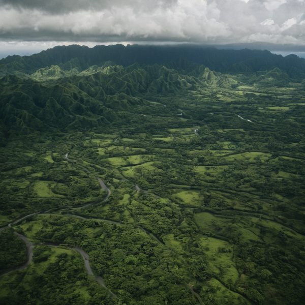 Aerial view of vibrant green mountains and winding roads in Fiji.