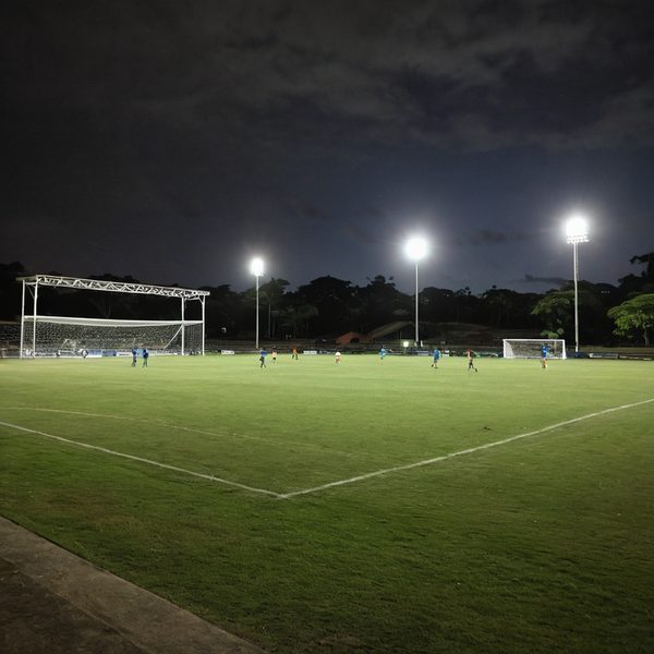 Illustrative image related to Bula FC Seek Rhythm Revival at Govind Park as They Host South Melbourne United in Key OFC Pro League Clash.