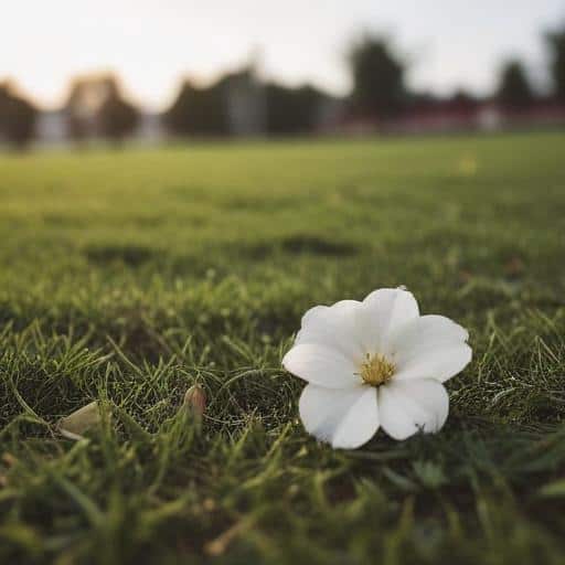 Community Mourns Tragic Loss of Young Football Star Eliki Delai