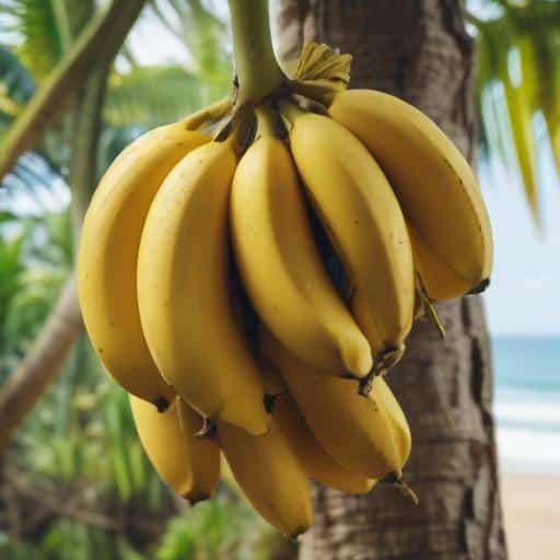 Connecting Harvests with Horizons: A New Initiative Bridges Agriculture and Tourism in the Pacific