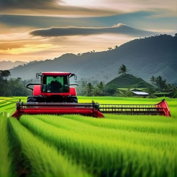 Fiji’s Daku Natabe Cooperative Harvests 100 Tonnes of Rice Through Mechanisation Program
