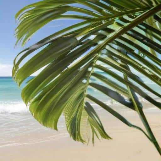 Fiji Leads the Way: A New Era for Sustainable Tourism