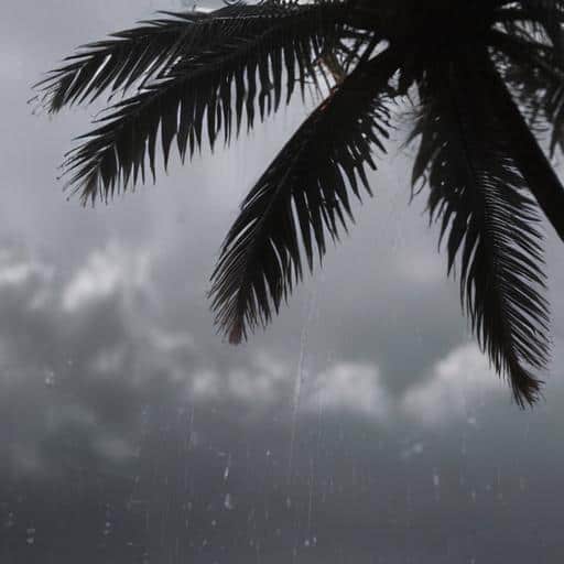 Fiji Weather Forecast: Cloudy Conditions and Showers Expected This Weekend