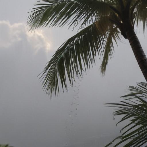 Fiji Weather Forecast: Cloudy Periods with Showers in Various Regions and Fine Conditions Elsewhere