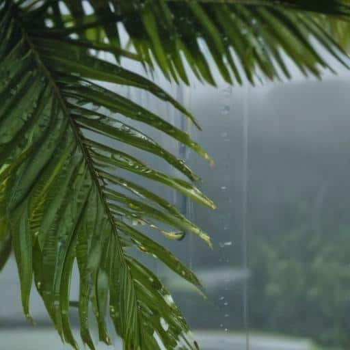 Fiji Weather: Heavy Rain Alert in Effect Across the Fiji Group with Flash Flood Risk and Thunderstorms