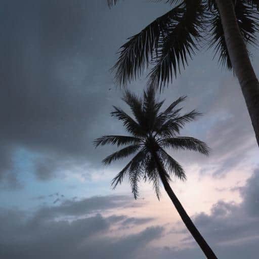 Fiji Weather Update: Cloudy and Showery Conditions with Thunderstorms Expected Until Tomorrow