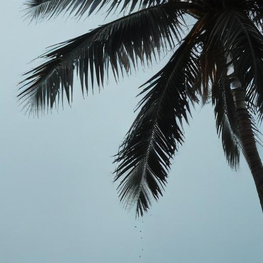 Fiji Weather Update: Cloudy Periods with Showers Expected Across Various Regions This Week