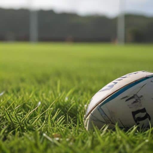 Fiji's Grassroots 7s: A Tournament Journey Beyond Borders!