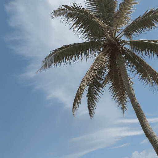 Fiji's Resilience: A Decade After Cyclone Winston