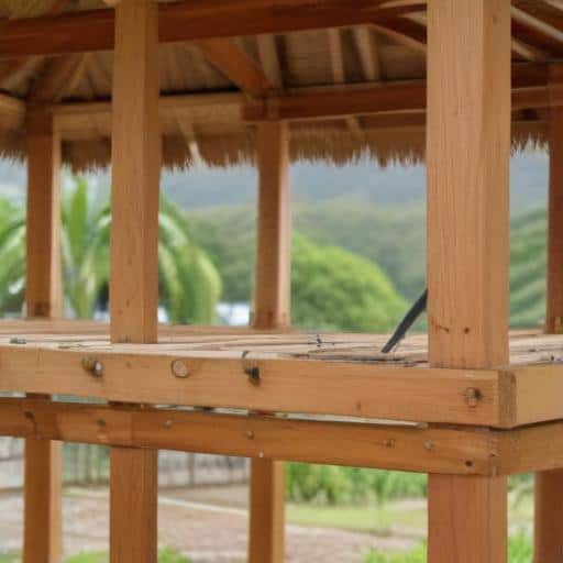 Financial Fortitude: Habitat for Humanity Fiji Appoints New Manager