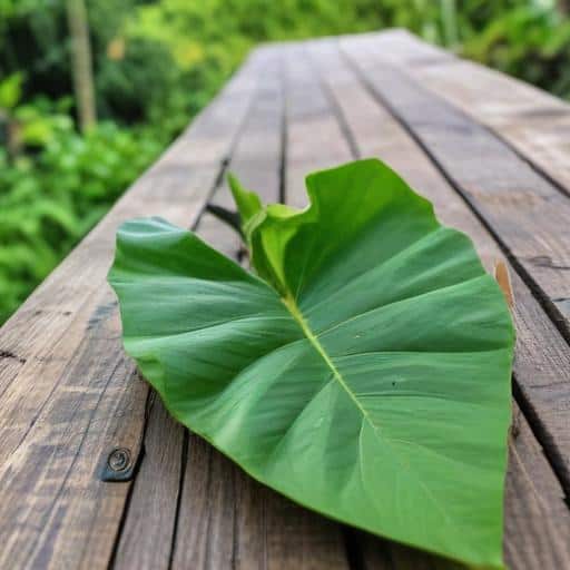 From Streets to Success: Fiji's Youth Transform Lives with New Opportunities