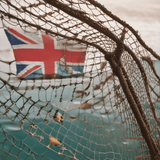 Illustration of FV Tiro II Murder Survivor Opens Trial