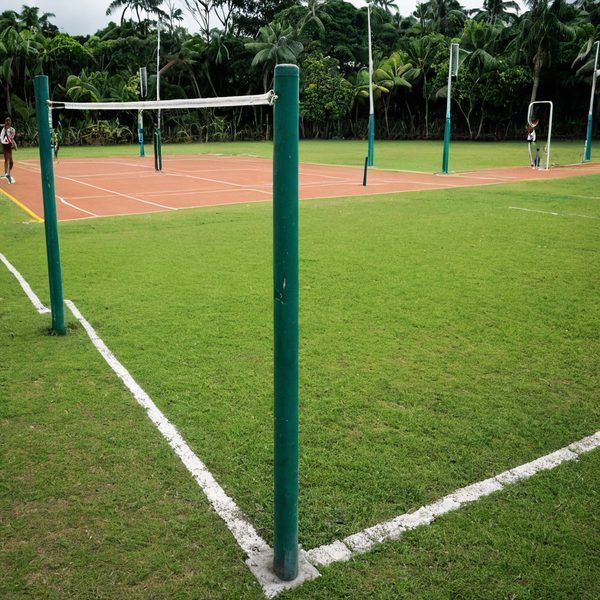 Gau and Koro withdraw from Crest Fiji Primary Schools Netball, field trimmed to 29 districts at Subrail Park