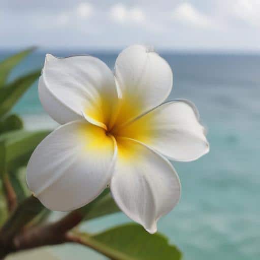 Global Call to Action: Supporting Vulnerable Communities in Fiji