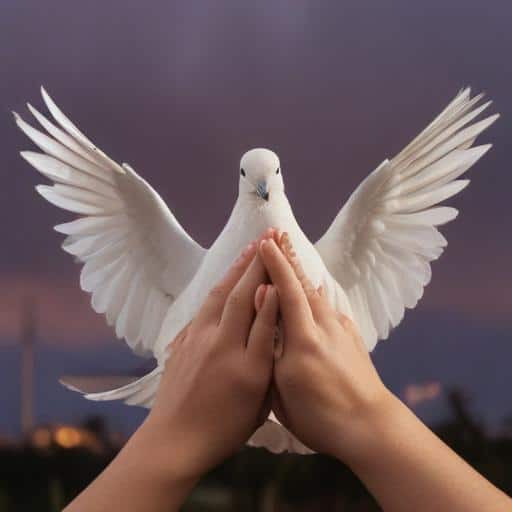 Hamas Offers Aid Collaboration Amid Growing Hostage Crisis