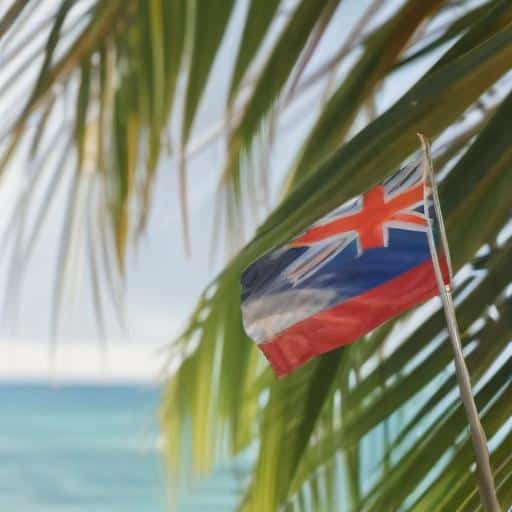 Hope for Pacific Workers: Albanese's Win Secures Continued Support for PALM Scheme