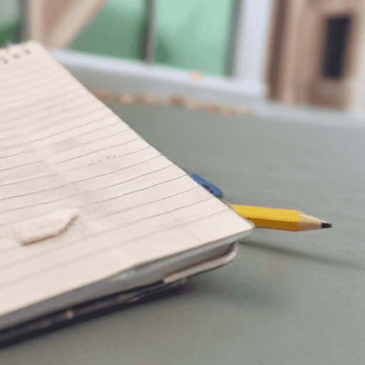 Lack Of Discipline Worrying: PM