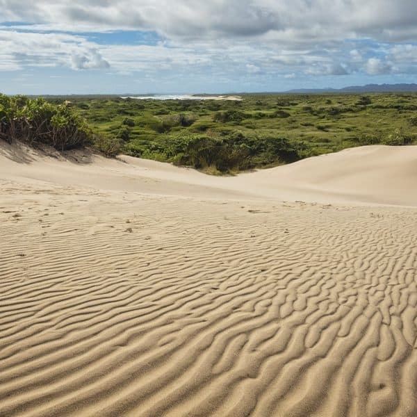 Leadership Fiji sparks a new era of community-driven conservation at Fiji’s Sigatoka Sand Dunes