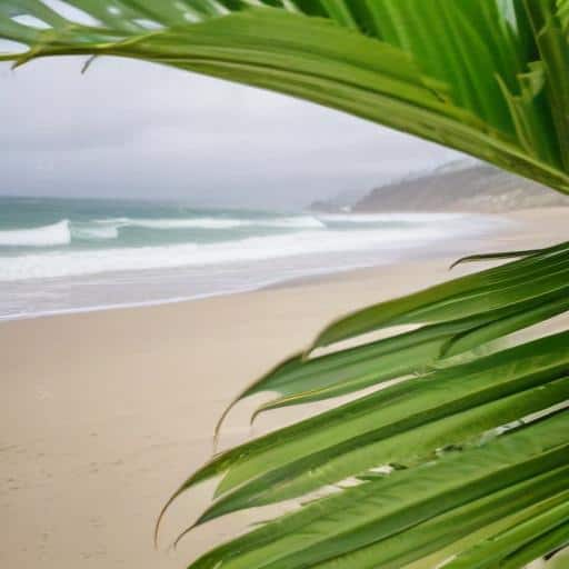 Life on Santa Rosa Island Persists Amid Peru-Colombia Border Dispute