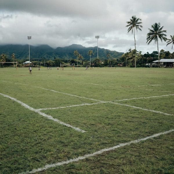 Soccer field in Fiji with lush green grass, palm trees, and mountain backdrop under cloudy sky.