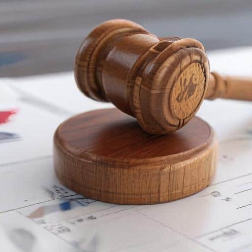 Melania Trump Threatens Billion-Dollar Lawsuit Over Hunter Biden Epstein Claim