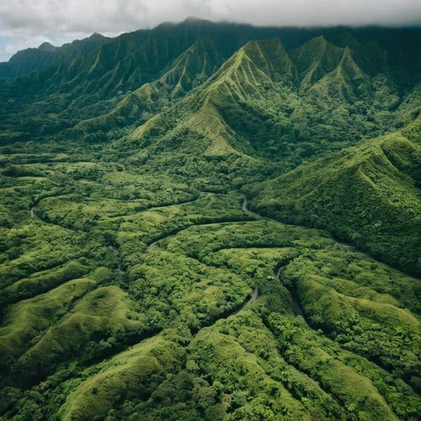 Namosi copper project in Fiji to withdraw after decade of landowner opposition