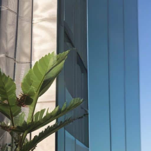 New Bill Aims to Transform Transparency in Banking Sector