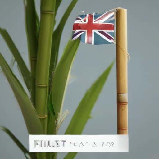 New Cane Grower Newsletter Connects Fiji’s Sugar Farmers