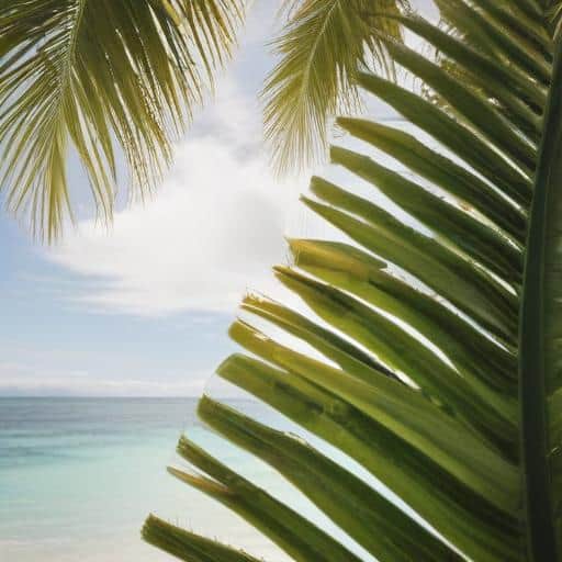 New Leadership at Tourism Fiji: A Fresh Vision for Growth