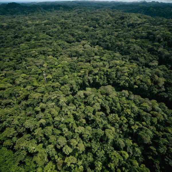 Illustrative image related to Palau Faces Environmental Backlash Over US Military Buildup as President Heads to Historic New Zealand Visit.