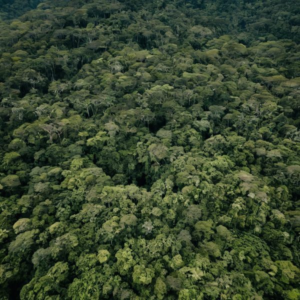 Illustrative image related to Palau Faces Eroding Environmental Protections as US Military Buildup Intensifies, Angaur Lawsuit Highlights Tension.