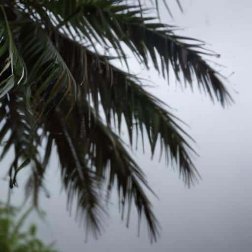 Severe Weather Alert: Heavy Rain and Thunderstorms Expected Across Fiji with Flash Flooding Risk