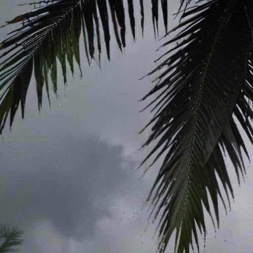 Severe Weather Alert: Tropical Cyclone Seru Brings Heavy Rain and Strong Winds to Fiji
