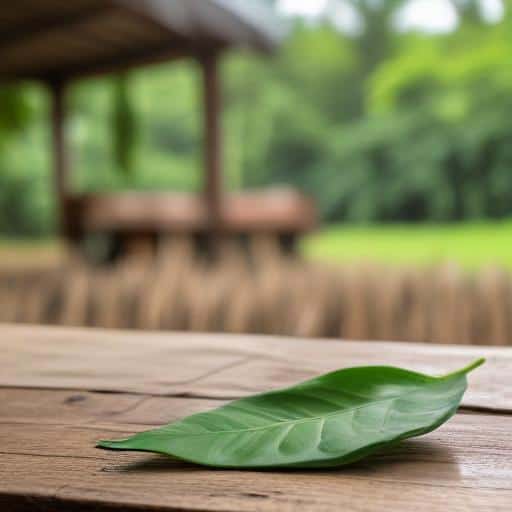 Vanuatu's Organic Revolution: Empowering Farmers for Global Markets