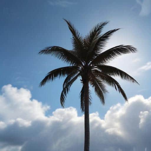 Weather Update: Current Conditions and Forecast Insights