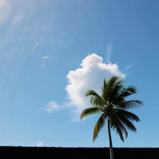 Weather Update: Current Conditions and Forecast Insights